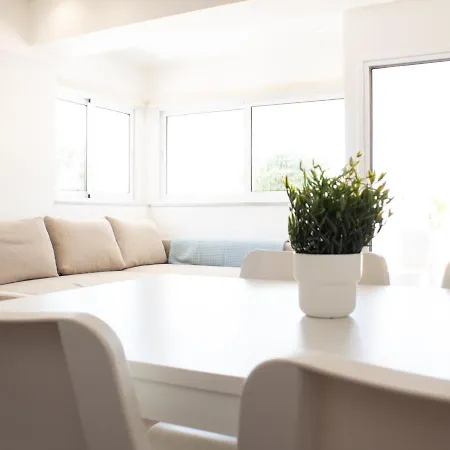 Walking Distance From Nissi Ave. Superb Location! *